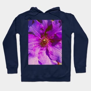Beautiful Warm Blue and Purple Flower Summer Art Hoodie